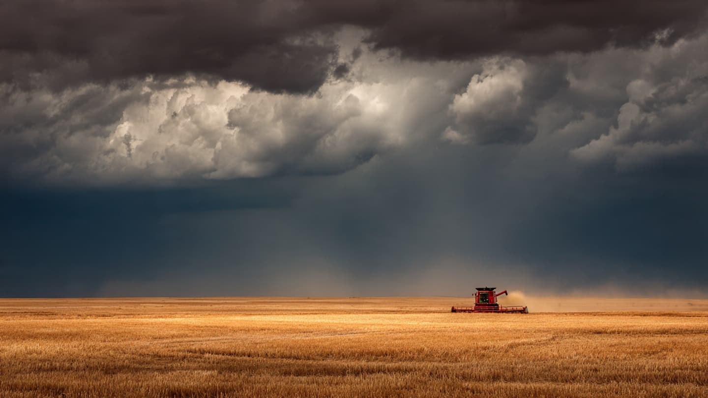 Across Kansas Fields, Another Difficult Harvest Season Quietly Unfolds