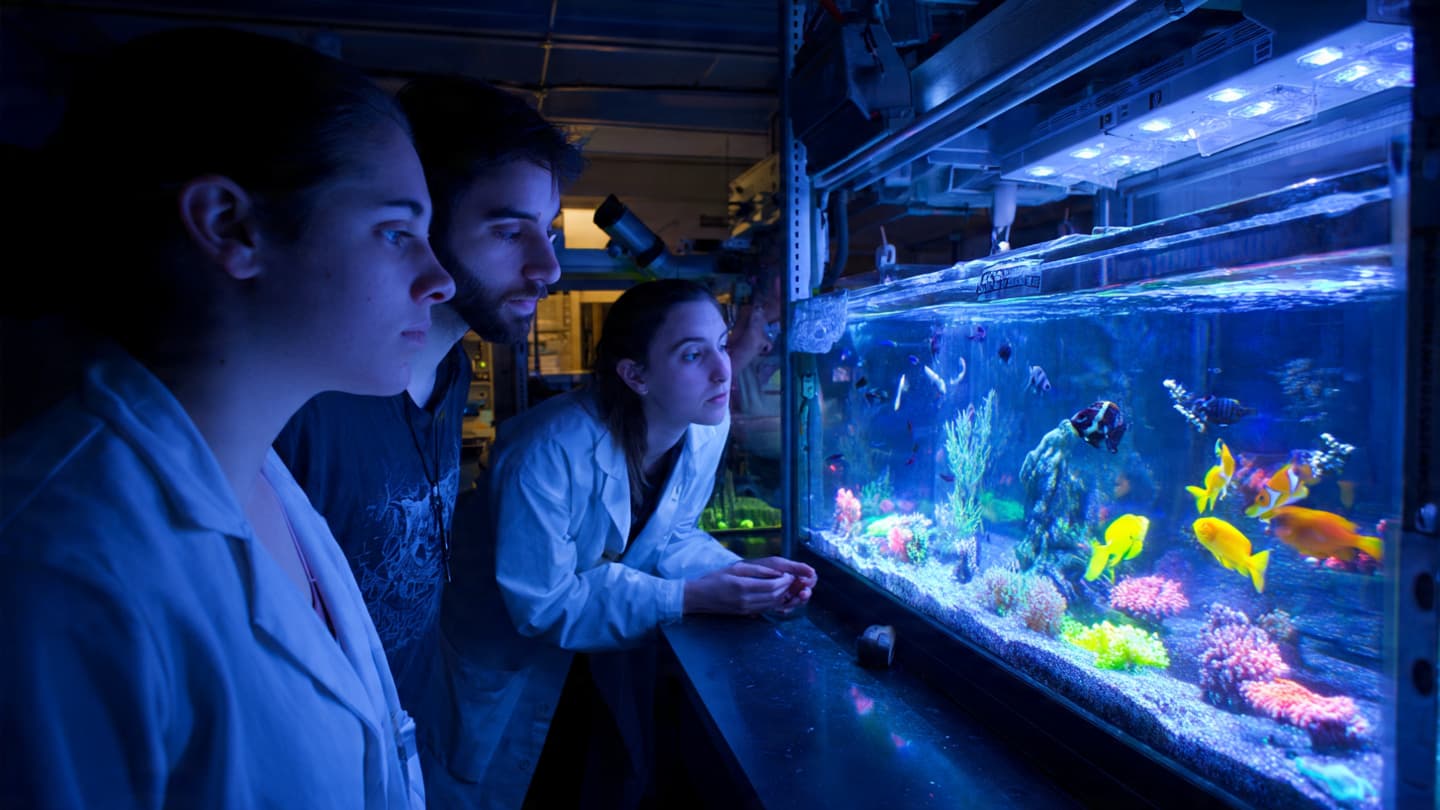In Quiet Laboratory Tanks, Scientists Found Unexpected Clues About the Mind In Quiet Laboratory Tanks, Scientists Found Unexpected Clues About the Mind