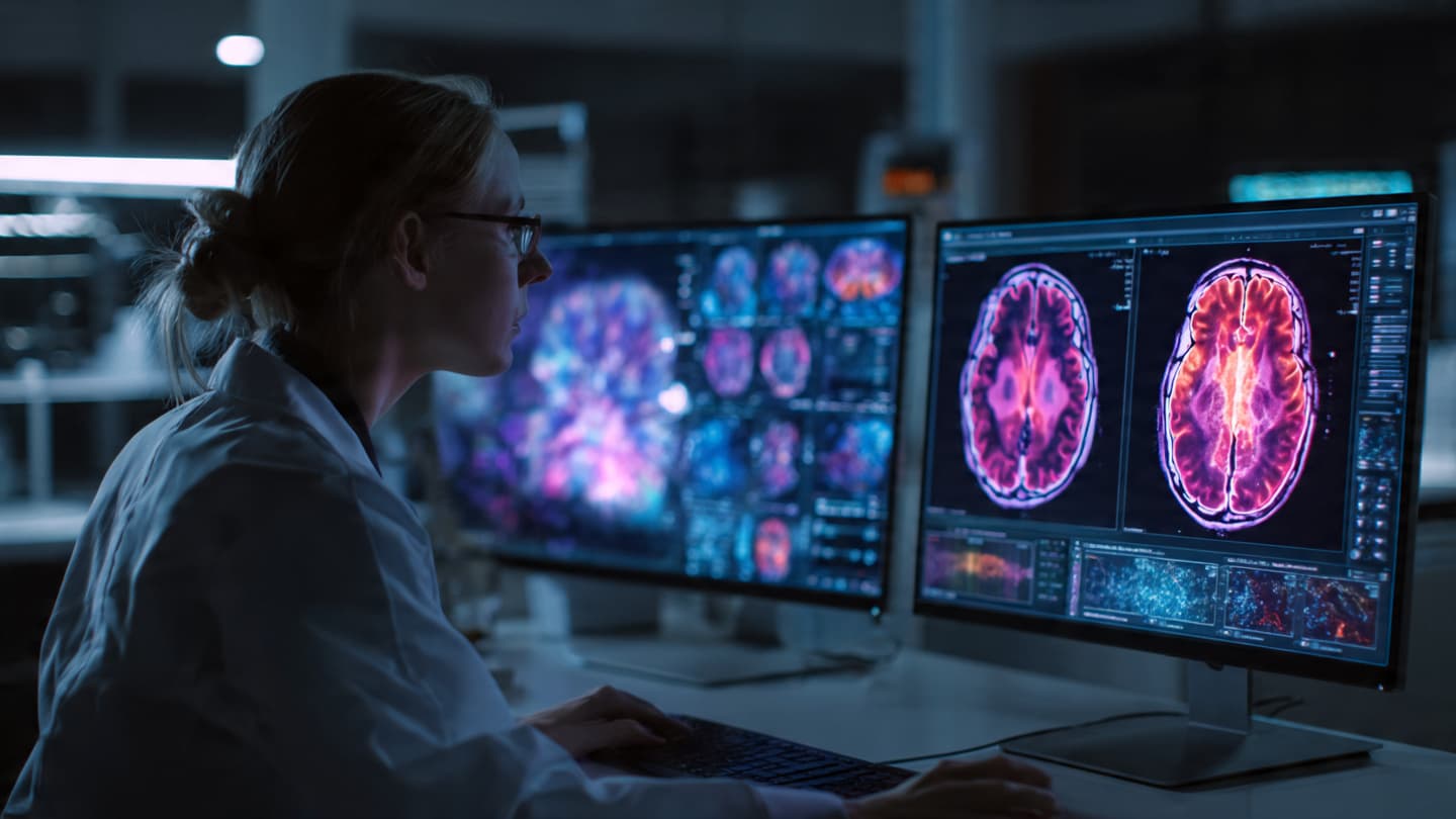 The Human Brain Quietly Rewrites Itself Through Memory, Attention, and Repeated Experience