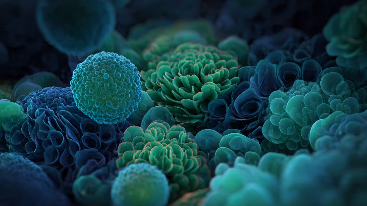 The Invisible Tide of Resistance: How Rising Global Temperatures Alter the Microscopic Paths of Disease