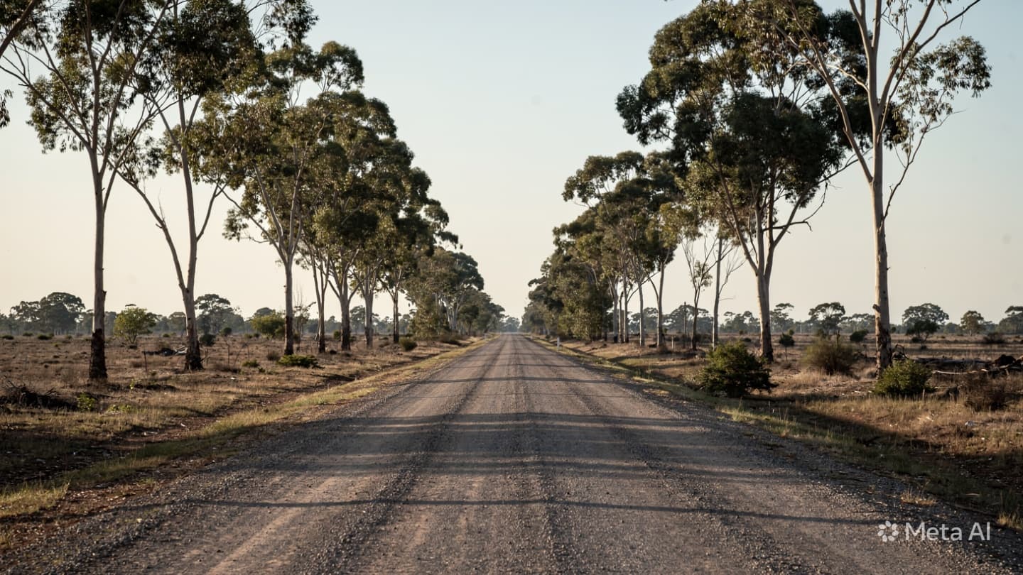 Where the Horizon Meets the Tree Line: A Somber Vigil for Lives Lost Too Soon