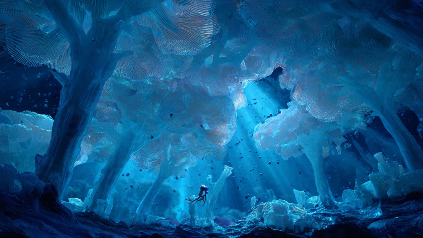 Deep Beneath the Ocean, Life Continued Writing Its Quiet Wonders