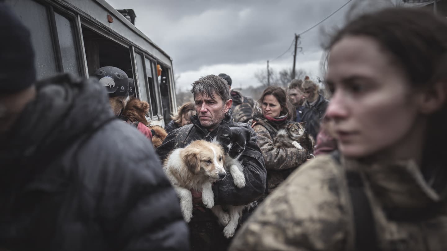 Animal Rescuers Near Ukraine’s Front Line Offered Quiet Relief During War