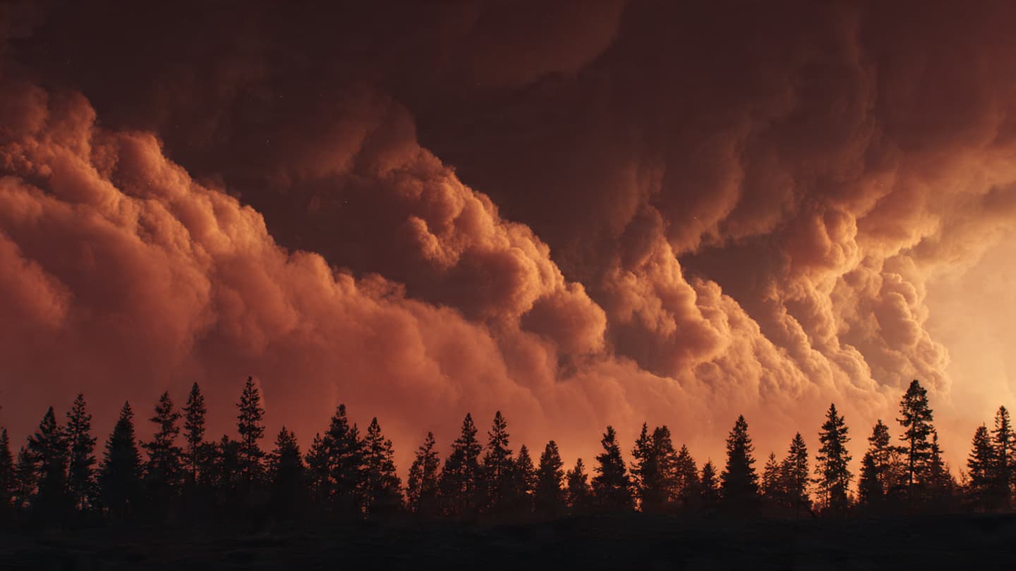 When the Boreal Forest Breathes Fire, Reflections on the Second Flight From Fort McMurray When the Boreal Forest Breathes Fire, Reflections on the Second Flight From Fort McMurray