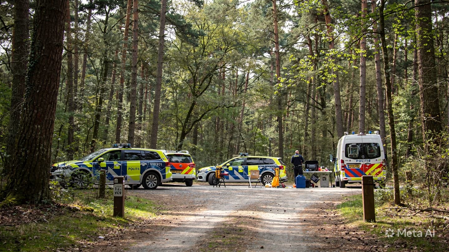 Search Efforts Halted: Missing Elderly Person in Veluwe Amid Reported Wolf Activity Near Site Search Efforts Halted: Missing Elderly Person in Veluwe Amid Reported Wolf Activity Near Site