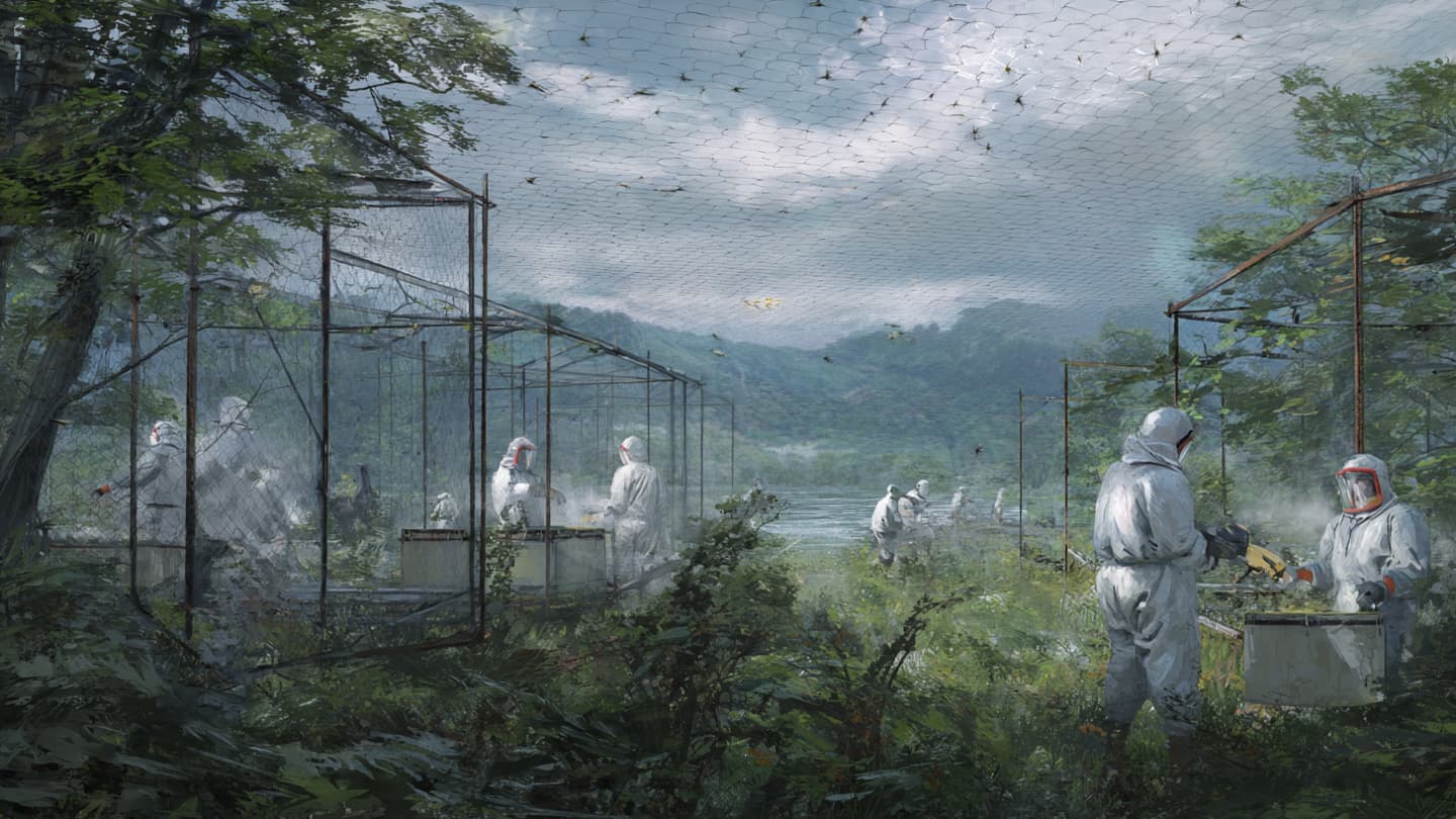 A massive mosquito release reshaping how science fights infectious disease A massive mosquito release reshaping how science fights infectious disease