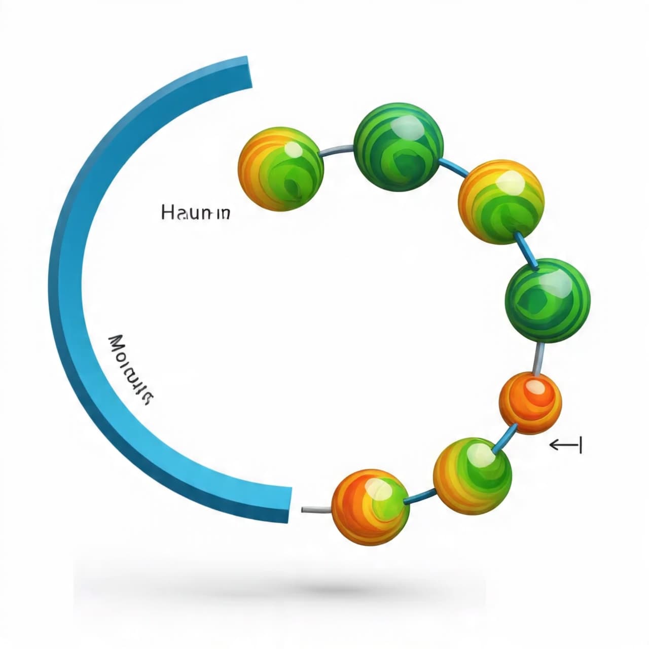 Where Mathematics Twists Into Matter: A Half-Möbius Shape Emerges in the Quiet Language of Molecules Where Mathematics Twists Into Matter: A Half-Möbius Shape Emerges in the Quiet Language of Molecules