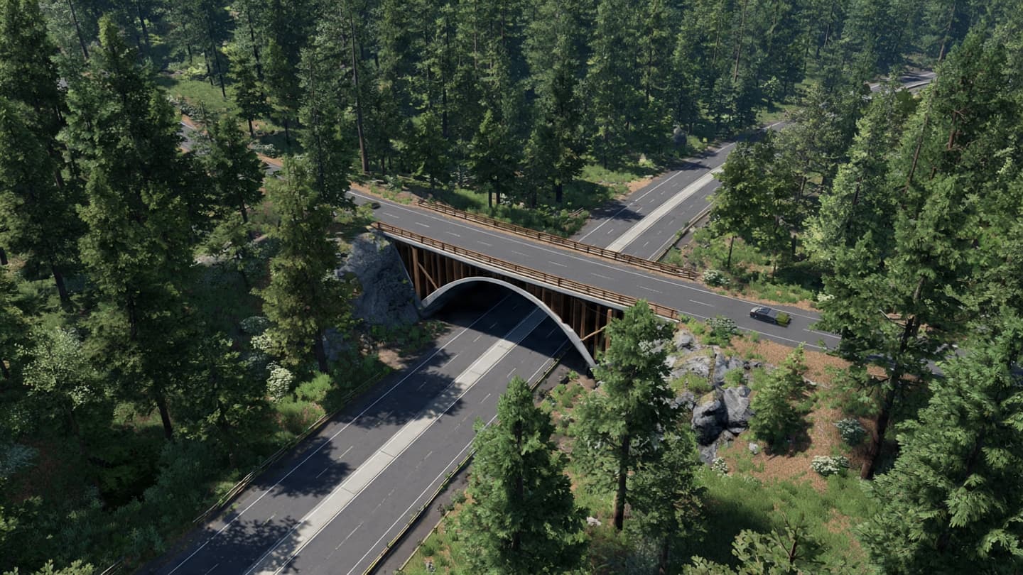 Where the Highway Meets the Forest, Who Has the Right of Way?