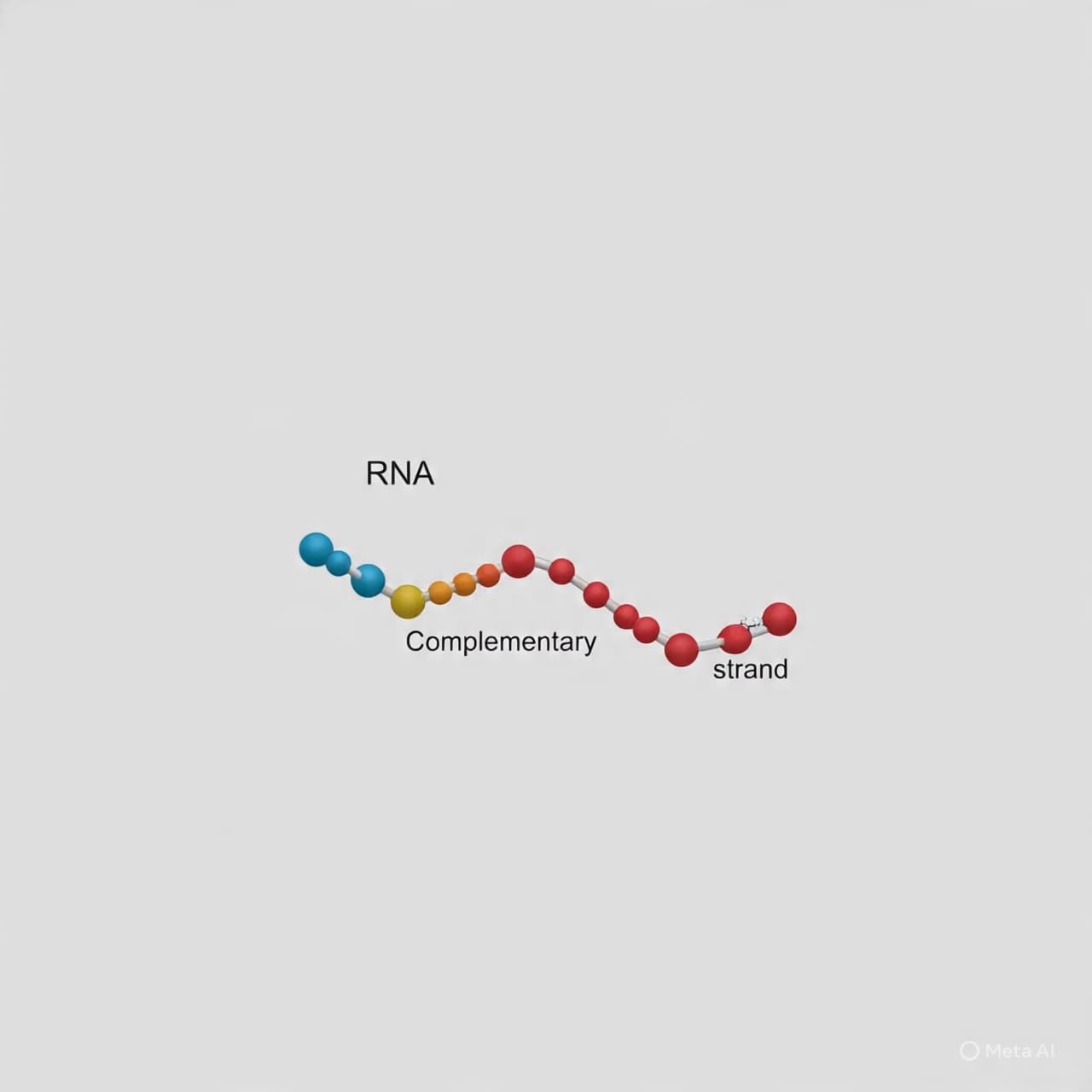 From Simple Strands to the Spark of Life: How a Tiny RNA Hints at Our Beginnings From Simple Strands to the Spark of Life: How a Tiny RNA Hints at Our Beginnings