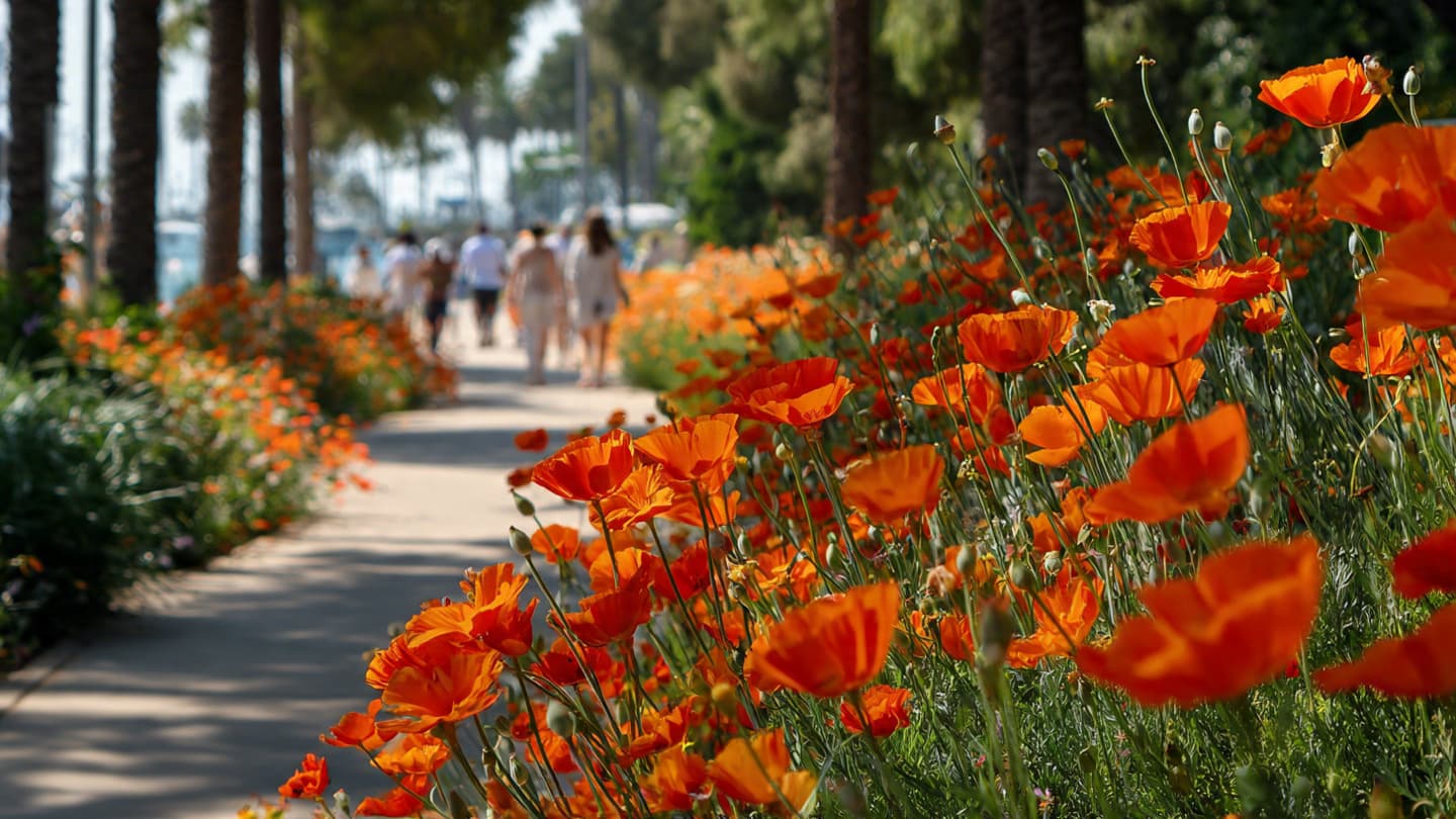 Seasonal Flowers in Cities Often Raise Questions More Than Risks