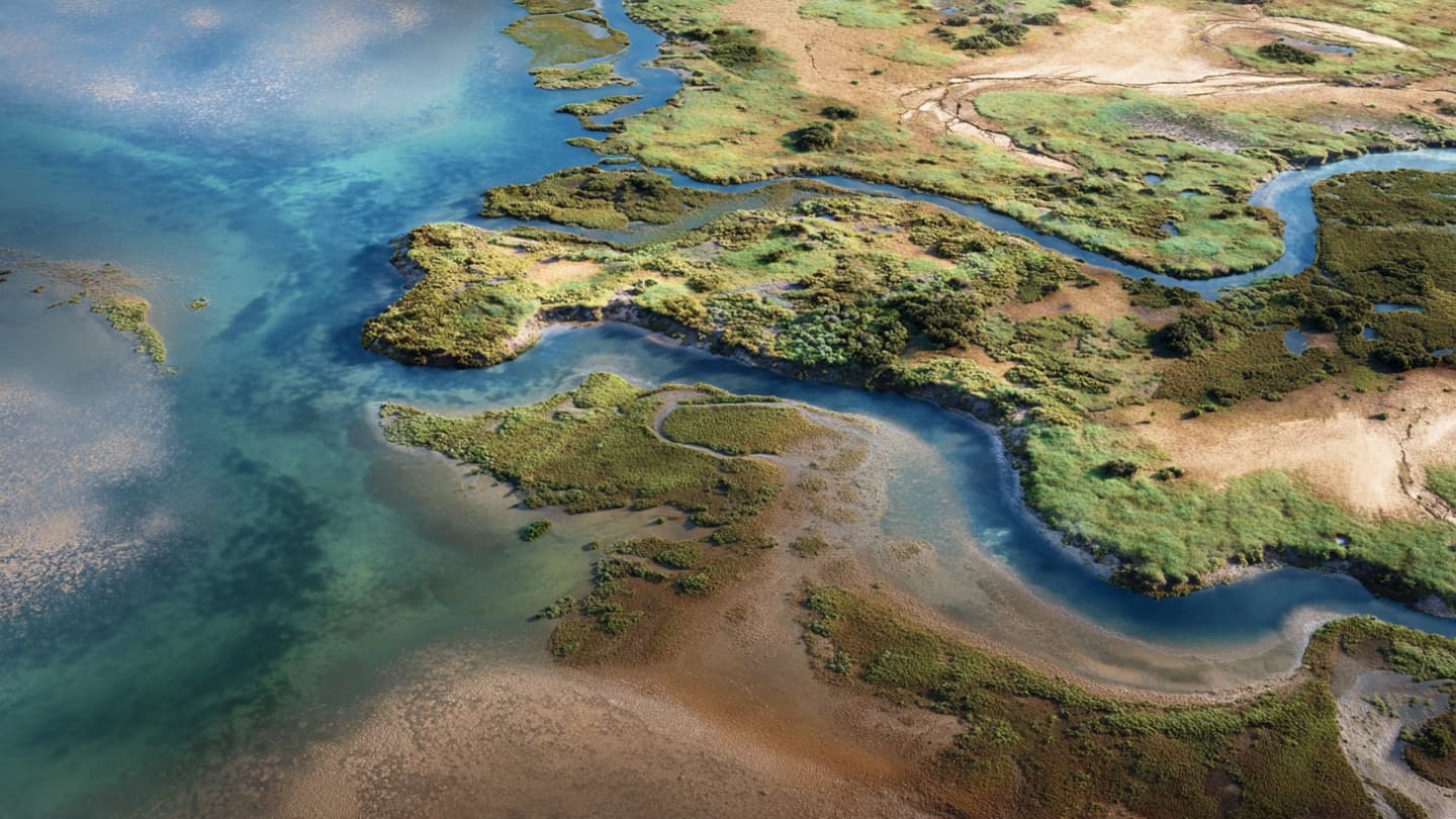 Where the Marsh Meets the Sea, What Happens When the Land Slowly Disappears?