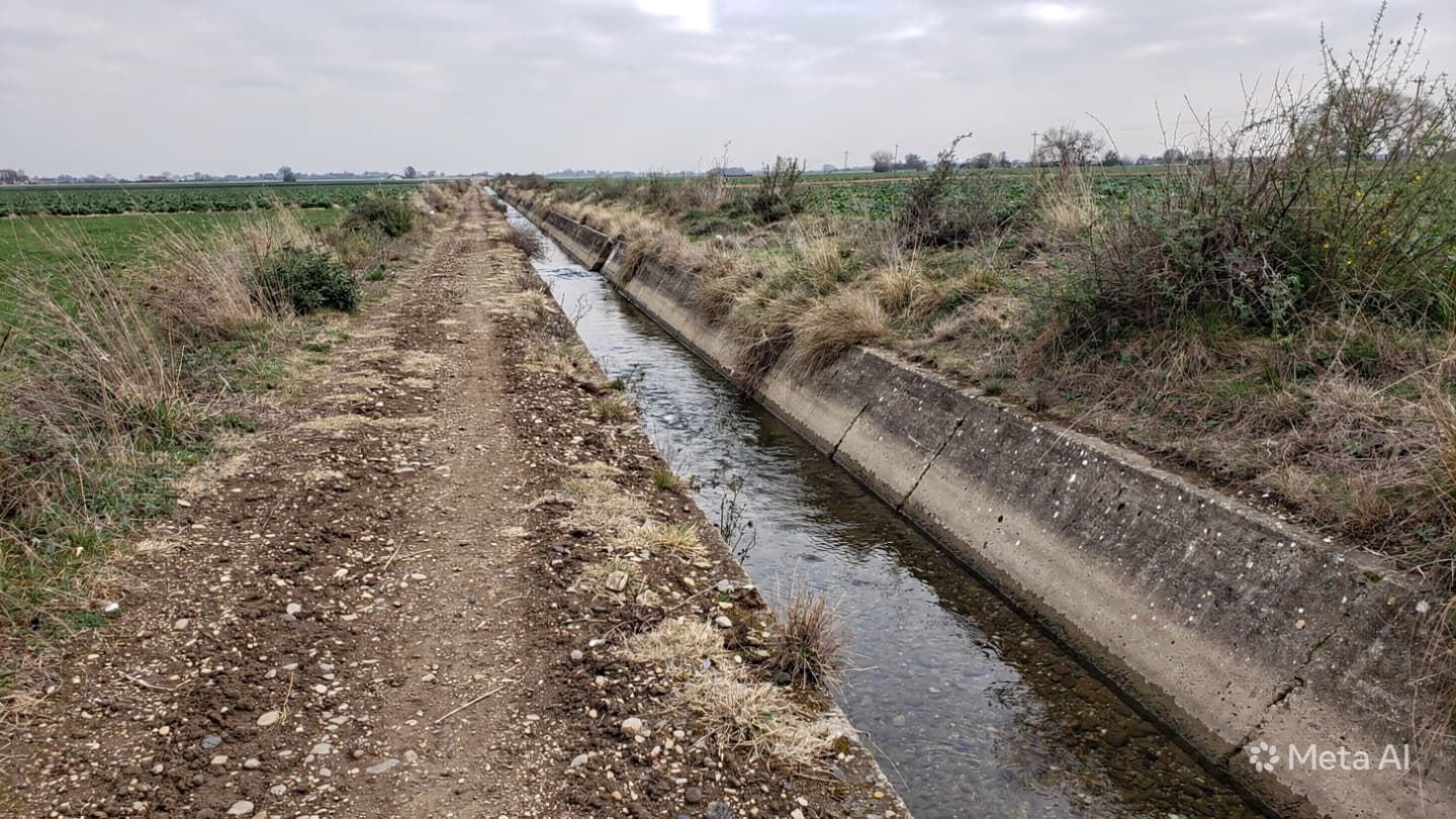 Canal Drowning in Iraq: Local Authorities Recover Bodies of Two Children After Irrigation Accident