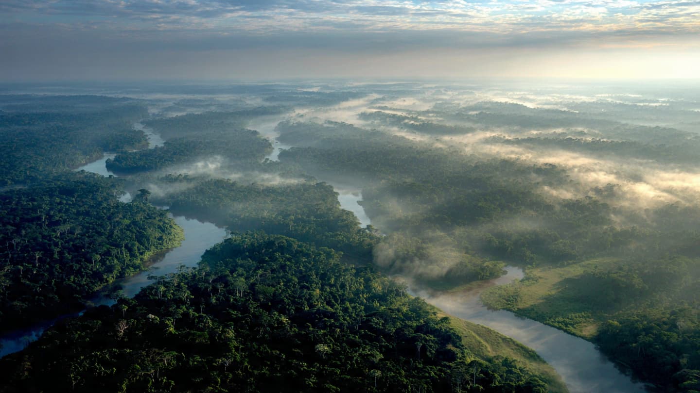 Between Canopy and Calculation: The Amazon’s Quiet Slowdown in a Shifting Climate Era