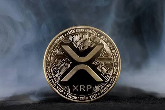 XRP:2026 XRP:2026