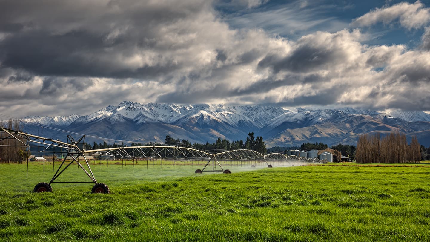 The North-South Divide: Reflections on New Zealand’s Fragile April Recovery The North-South Divide: Reflections on New Zealand’s Fragile April Recovery