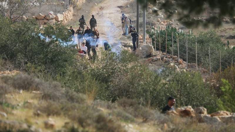 Jewish Settlers Burn Farms, Buildings in West Bank as Retaliation for Palestinian Stone Attack Jewish Settlers Burn Farms, Buildings in West Bank as Retaliation for Palestinian Stone Attack