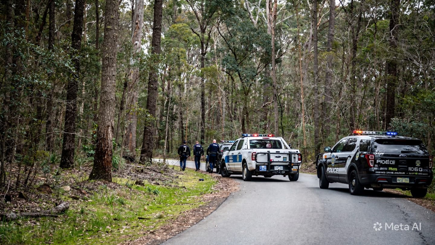 Forest Homicide Case: Local Authorities Open Investigation After Body Discovered in Remote Siberian Woods Forest Homicide Case: Local Authorities Open Investigation After Body Discovered in Remote Siberian Woods