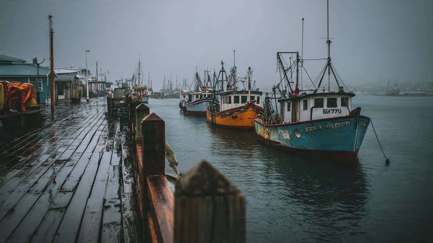 When the Sea Winds Gather: A Contemplative Look at Saldanha's Silent Emergency Supplies