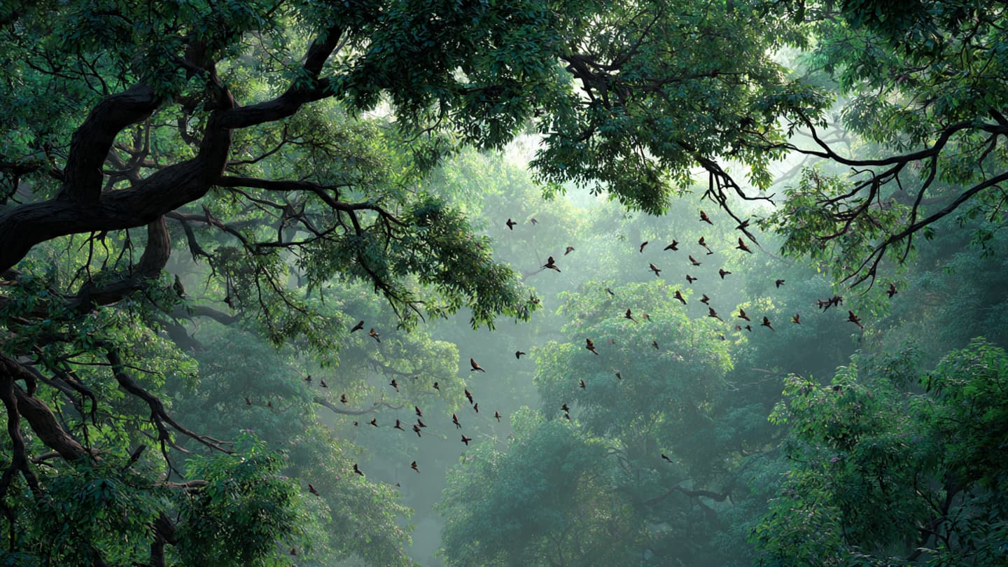 The Forest Falls Silent Long Before Danger Fully Arrives The Forest Falls Silent Long Before Danger Fully Arrives