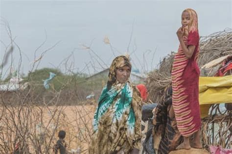 Europe Cannot Afford to Lose the Sahel Europe Cannot Afford to Lose the Sahel