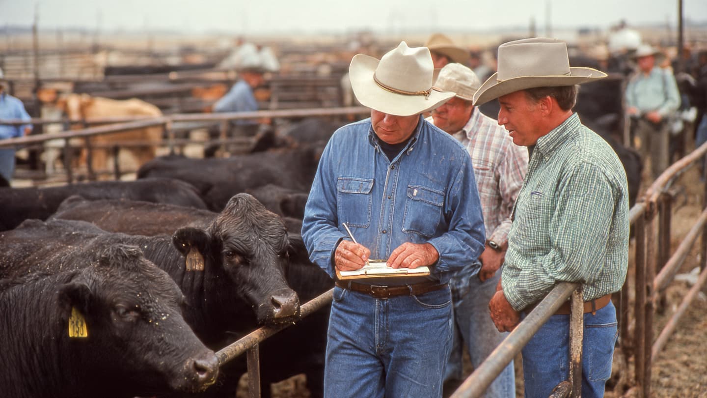 A Long-Dormant Threat Returns to the Ranchlands of Texas A Long-Dormant Threat Returns to the Ranchlands of Texas