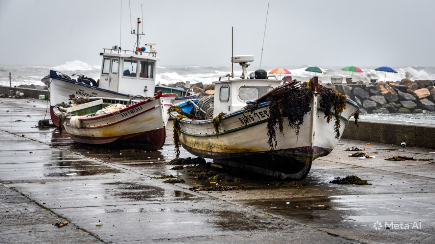 When the Deep Ocean Awakens: Shadows and High Waters Along the Vulnerable Chilean Coast When the Deep Ocean Awakens: Shadows and High Waters Along the Vulnerable Chilean Coast